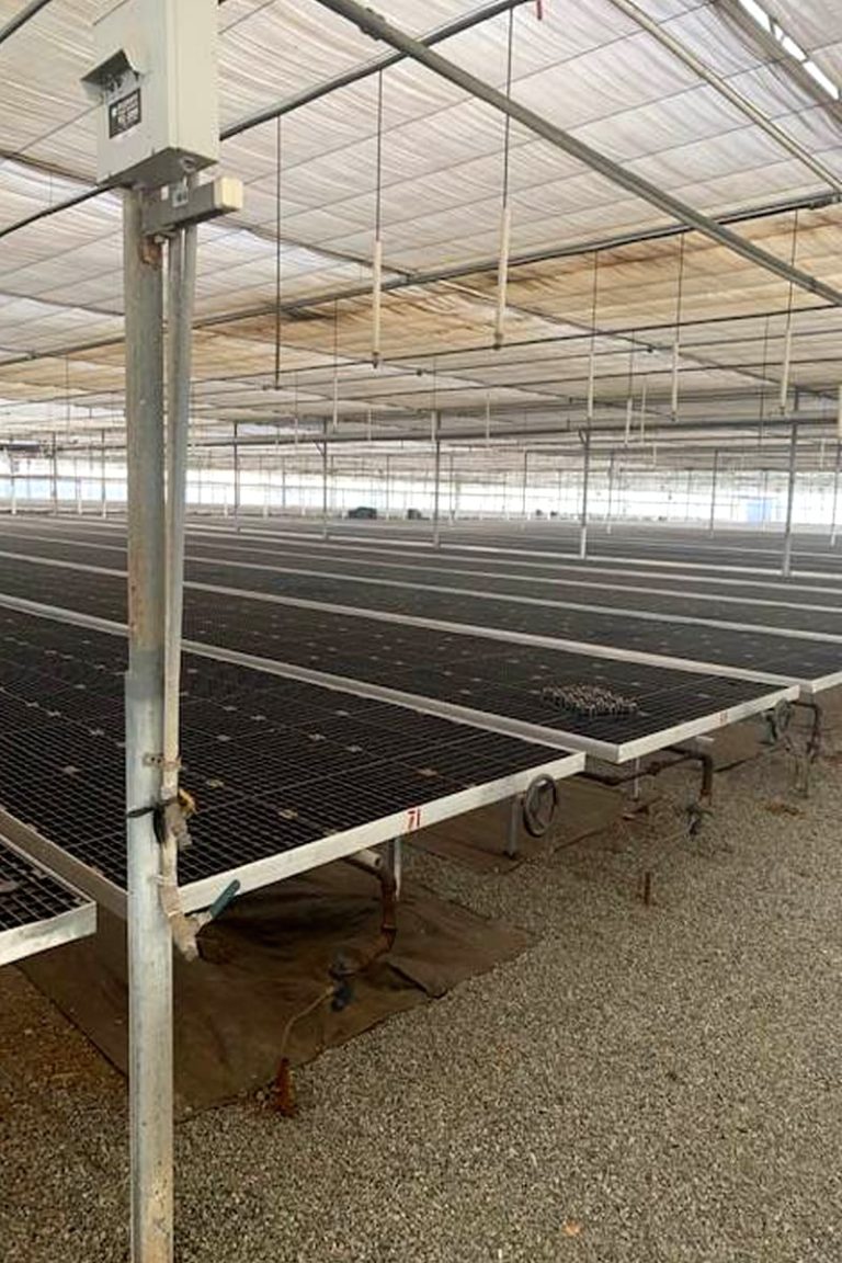 Advanced Benching Solutions – Greenhouse Benching Tables